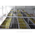 Banana juice production machine processing plant